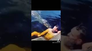 Ataque de cocodrilo #youtubeshorts #shorts #cocodrilo #animal