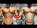 【増量10日目】太り過ぎてデブすぎるボディビルポージング