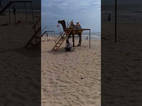 #youtube#short#beach