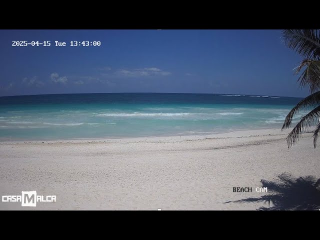 Live webcam view of Tulum Beach Live