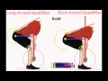 Powerlifting Leverages