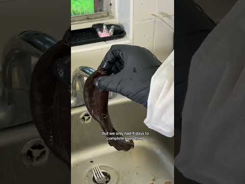 Deep Cleaning a Maggot Infested Kitchen for Free! PART 2