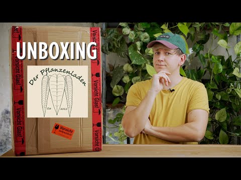NEUE Pflanzen 😱 So lief mein erstes Unboxing von Der Pflanzenladen | Plant Haul