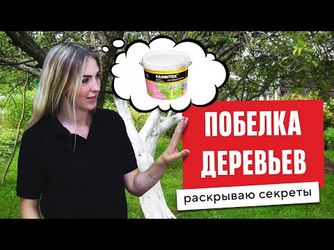 Миниатюра изображения товара Краска Farbitex Для садовых деревьев (1.2кг)