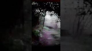JUNIOR CONTRA PANCHO SAAVEDRA