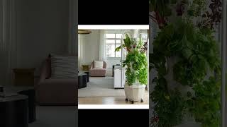 Which Tower Garden Should I Buy? #towergarden #hydroponics #indoorgarden
