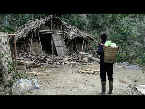 The homeless girl visited her old house and was saddened to see it had been demolished.