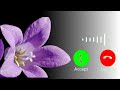 Mobile Ringtone 2026 Hindi Song Ringtone Best Ringtone Ringtone Download Incoming Call Ringtone
