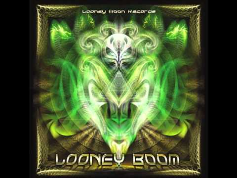 Stop - Dharma Project