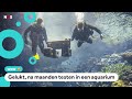 Wetenschappers bedenken manier om koraal te redden