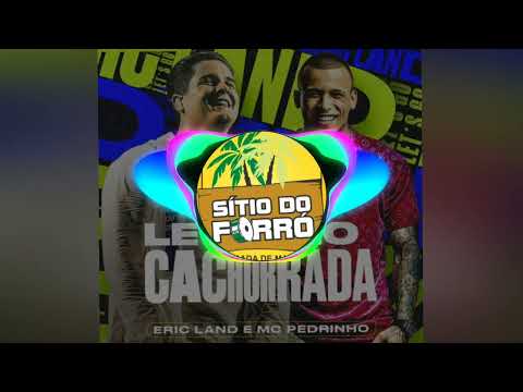 LET'S GO CACHORRADA - ERIC LAND & MC PEDRINHO