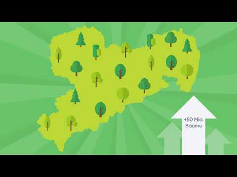 Unser Plan für mehr Bäume in Sachsen - Wahlprogramm der CDU Sachsen
