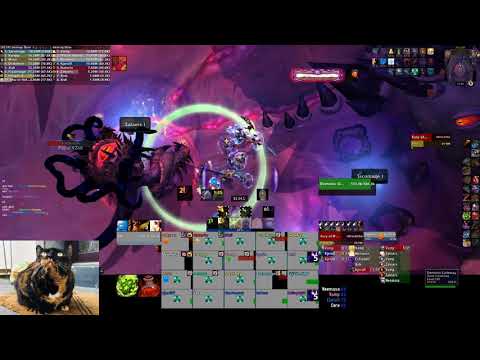 Halcyon vs Carapace of N'zoth Mythic (disc priest pov)