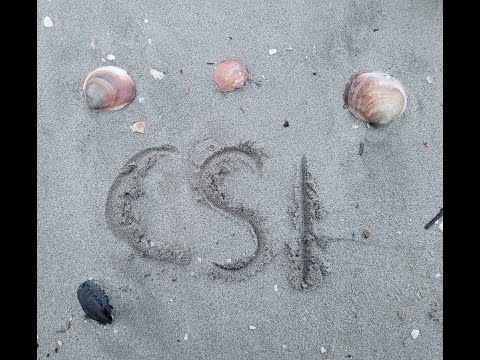 Sport in Festa 2023 - Cesenatico e dintorni