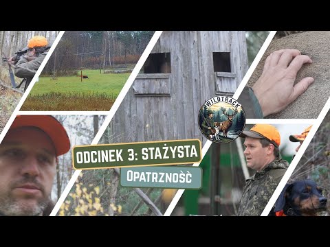 Odcinek 3: STAŻYSTA - OPATRZNOŚĆ || 03/25 / Episode 3: The Intern - Providence