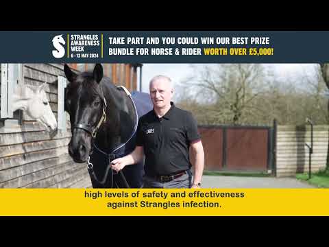 Have you talked to your vet about the Strangles vaccination? | Richard Davison | SAW 2024