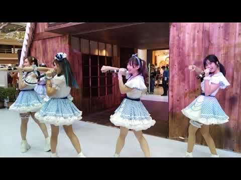 Shining Star : Roller Closter @ Shirakawago - Seacon Srinakarin【4K】