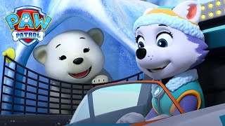 Download lagu Misi Penyelamatan: Bayi Beruang Kutub Membutuhkan Bantuan Everest! | PAW Patrol | Episode Indonesia mp3