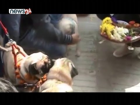 PRIME TIME NEWS 8 PM_2076_07_09 - NEWS24 TV