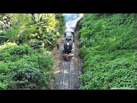 🇧🇷 Trem turístico no túnel / Tourist train in the tunnel - São Bento do Sul/SC - 2022 - (Brasil)
