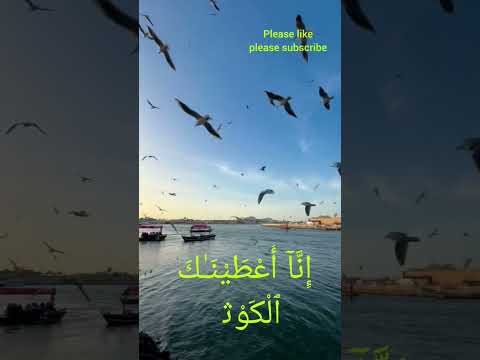 The Beauty of Nature with Surah Al-Kawthar | Peaceful Quran Recitation | Islam Motabak