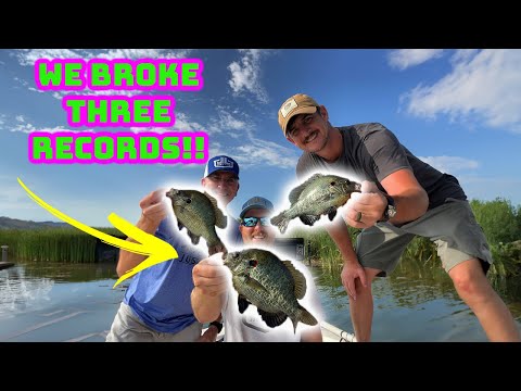 Panfish with bobbers: exterior boat cleaning kit segment