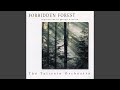 Forbidden Forest