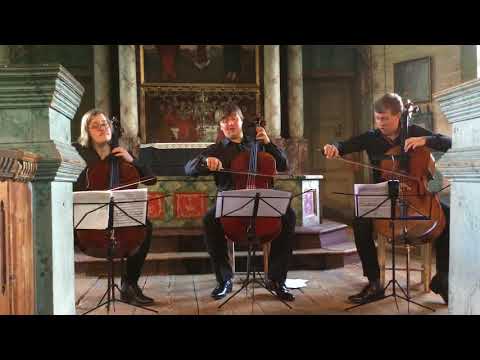 Lauri Rantamoijanen, Jonathan Roozeman ja Ivan Karizna Keuruun vanhassa kirkossa