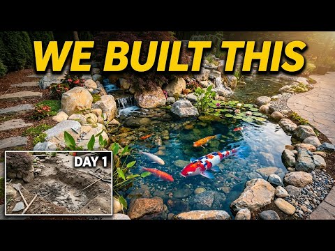 We Built a Koi PARADISE! | Backyard koi pond build