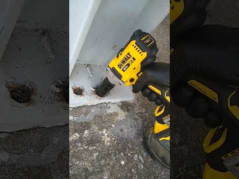 DeWALT vs Painted Nut