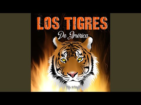 Hoy Te Vi - Grupo Los Tigres