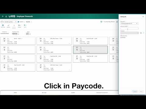 Ukg Pay Codes