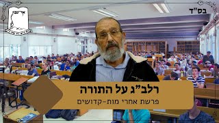 רלב"ג על התורה | פרשת אחרי מות קדושים | הרב אביגדור שילה (ישיבת אור עציון) - התמונה מוצגת ישירות מתוך אתר האינטרנט יוטיוב. זכויות היוצרים בתמונה שייכות ליוצרה. קישור קרדיט למקור התוכן נמצא בתוך דף הסרטון רלב"ג על התורה | פרשת אחרי מות קדושים | הרב אביגדור שילה (ישיבת אור עציון) - התמונה מוצגת ישירות מתוך אתר האינטרנט יוטיוב. זכויות היוצרים בתמונה שייכות ליוצרה. קישור קרדיט למקור התוכן נמצא בתוך דף הסרטון