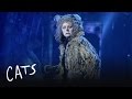 Grizzabella's Rejection | Cats the Musical