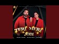 Teri Meri Jodi