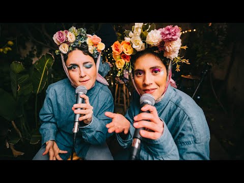 en el patio: Catsolé - Mueve-T (Temporada 2)