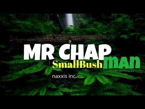 Small Bush Man ft.Mr. Chapman _My baby oh