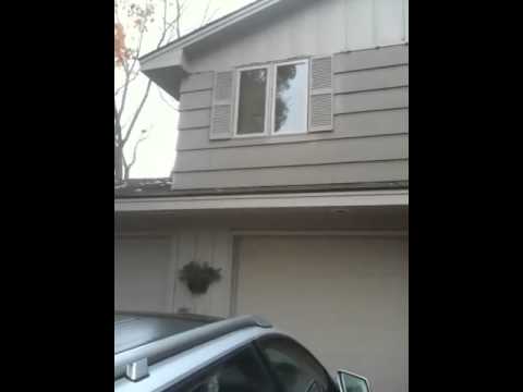 Happy birthday Jarmila fromTom!!