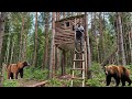 Bears Attack My TreeHouse Survival 7 Days In The Wild Forest