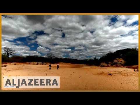 🇰🇪 earthrise - Fighting desertification in Kenya & the remakery