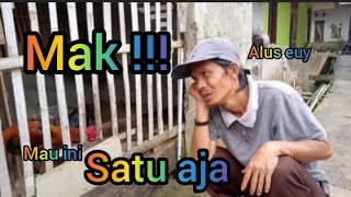 Download lagu Jual ayam pelung betina | kualitas super dan siap bertelur mp3