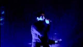 Wake Up, Open The Door and Escape to the Sea