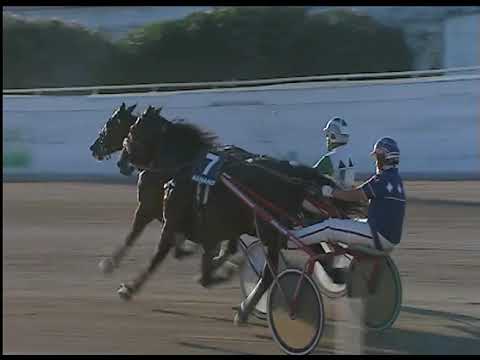 Trotto 18/06/2020 - 3ª corsa