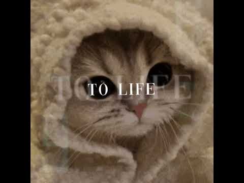 Bring me back to LIFEE #lyrics #music