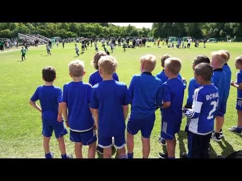 Hesa Cup - nappulakengät