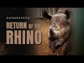 Gonarezhou, Return of the Rhino | FULL DOCUMENTARY