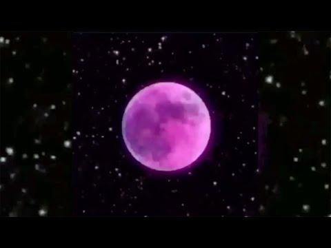 yourmomlikesmymusic - KHAN [Prod. Juicy Spinach]