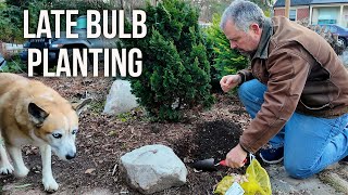 Holly Helps Plant Unusual Bulbs