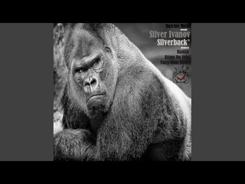 Drunk Master (Original Mix)