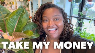 Rare Plant Shopping at Pita's Planters in Dallas, TX | bought a new Aglaonema